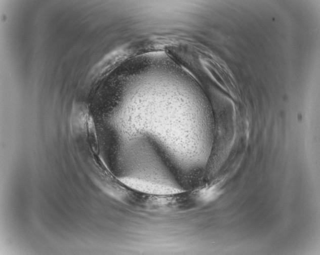 X0000085840329200704091730