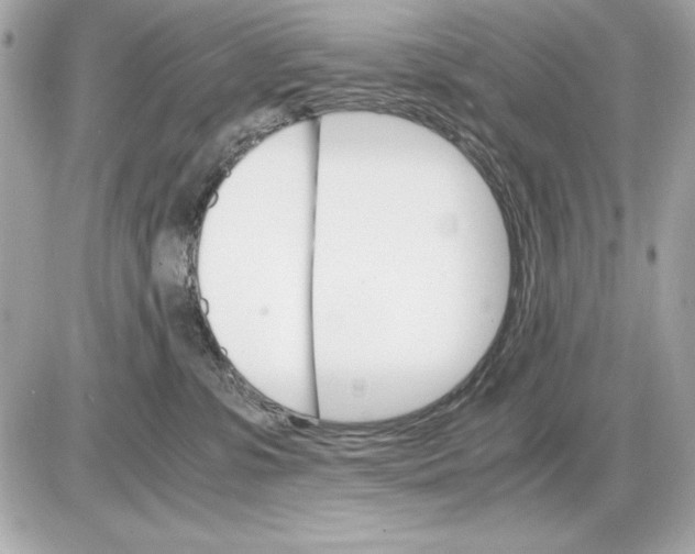 X0000085840331200704091730