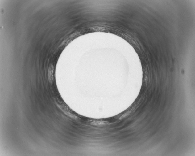 X0000085840332200704091730