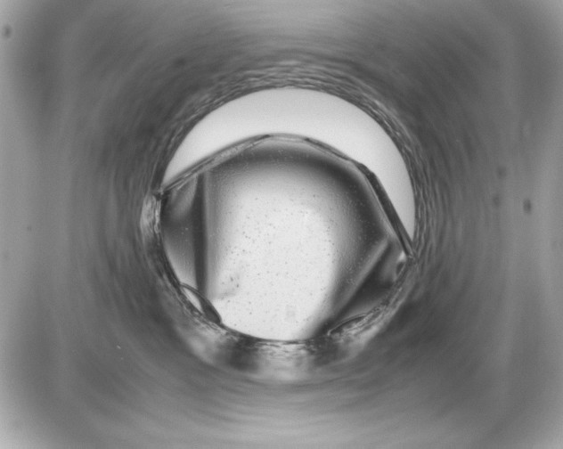 X0000085840333200704091730