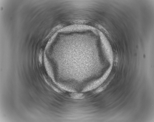 X0000085840334200704091730