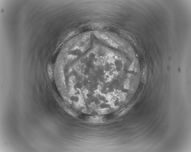 X0000085840335200704091730