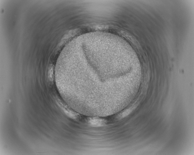 X0000085840336200704091730