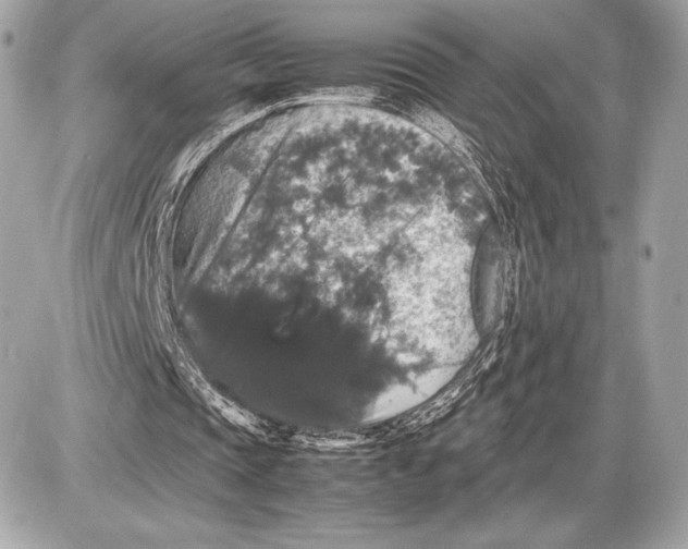 X0000085840337200704091729