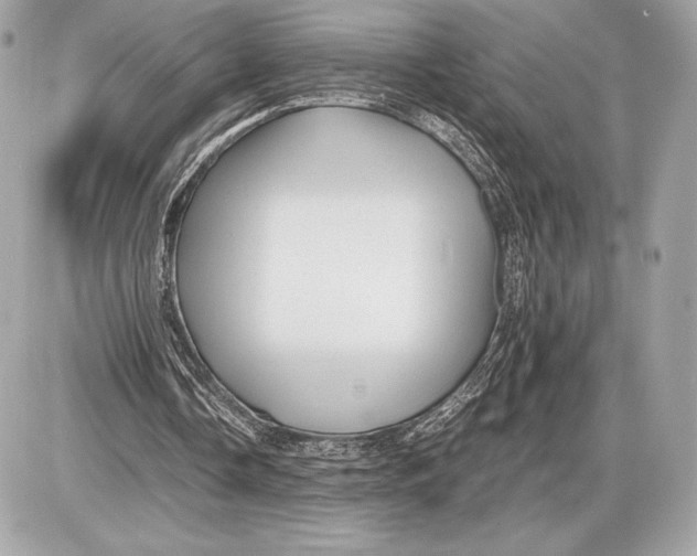 X0000085840338200704091729