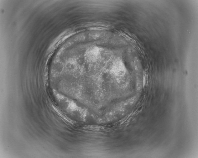 X0000085840339200704091729