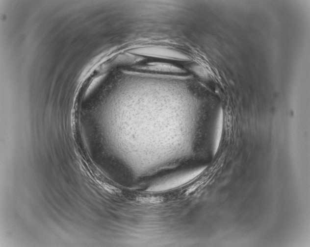 X0000085840340200704091729