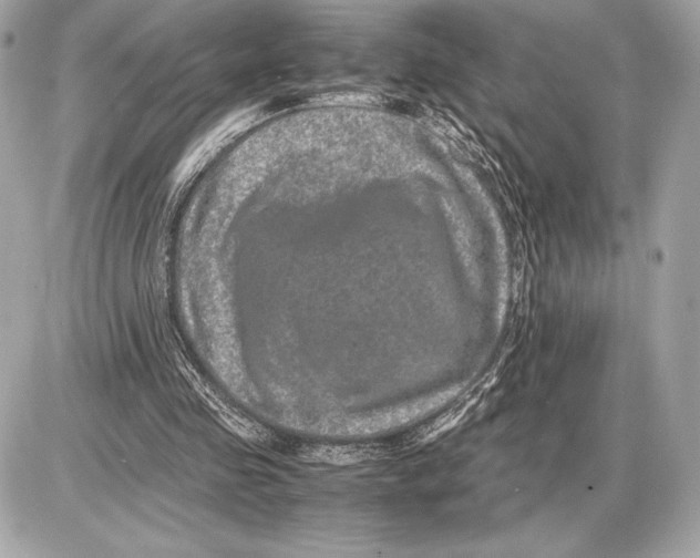 X0000085840341200704091729