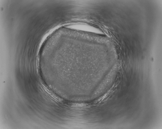 X0000085840342200704091729