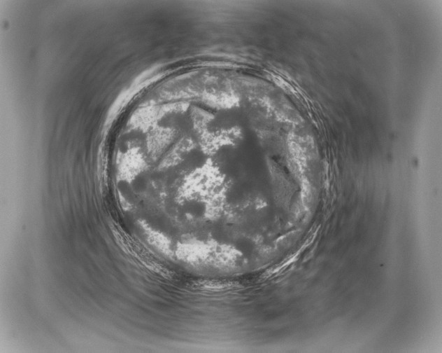 X0000085840343200704091729