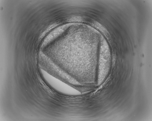 X0000085840345200704091729