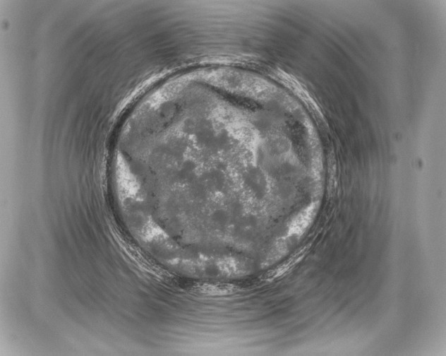 X0000085840346200704091729