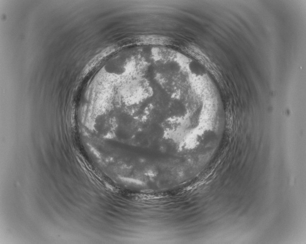 X0000085840347200704091729