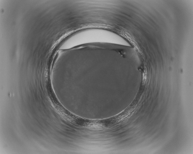 X0000085840348200704091729