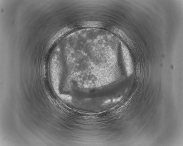 X0000085840351200704091729