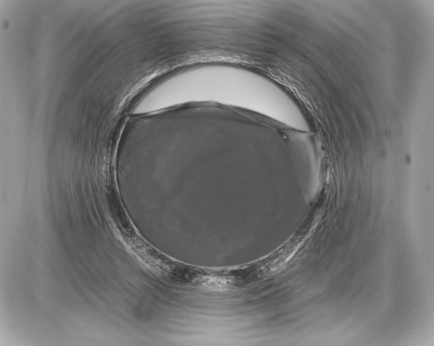 X0000085840352200704091729