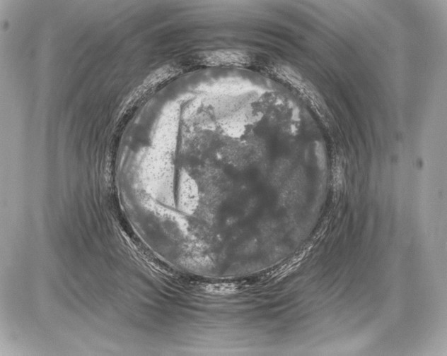 X0000085840353200704091729