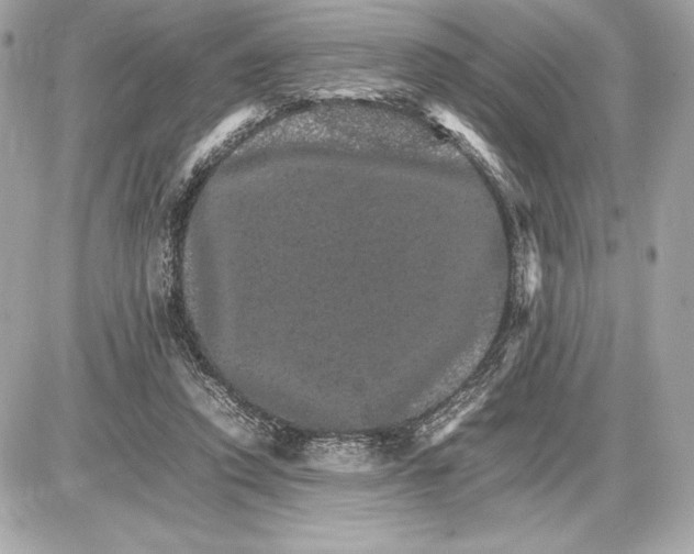 X0000085840354200704091729