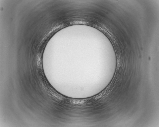 X0000085840355200704091729