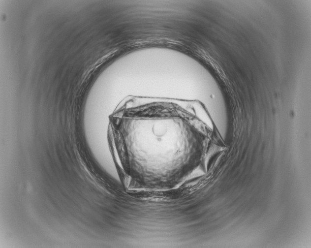 X0000085840356200704091729