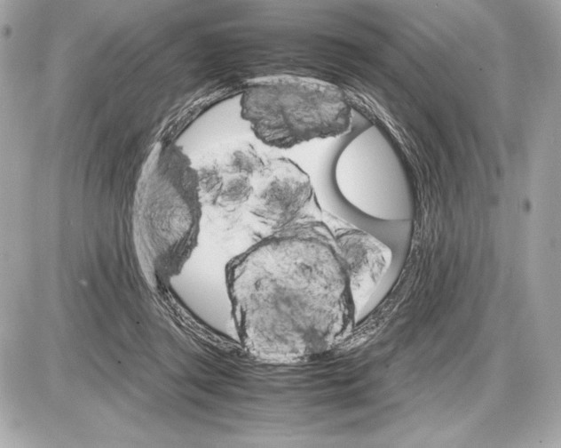 X0000085840357200704091729