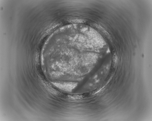 X0000085840359200704091729