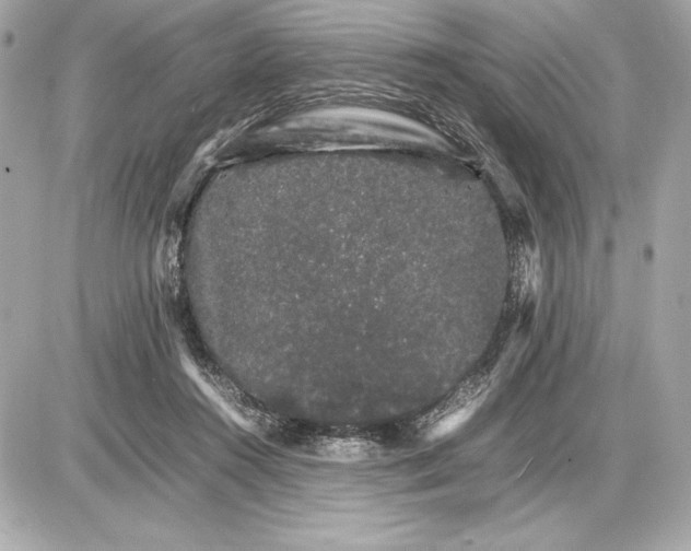 X0000085840360200704091729