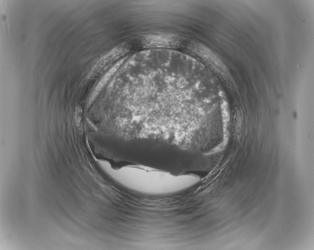 X0000085840361200704091729