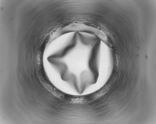 X0000085840362200704091729