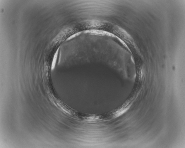 X0000085840366200704091729