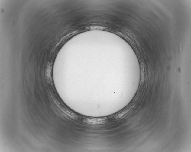 X0000085840367200704091729