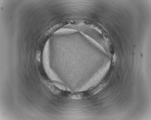 X0000085840368200704091729