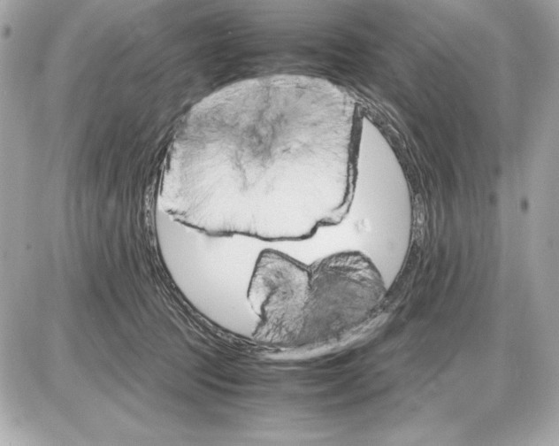 X0000085840369200704091729