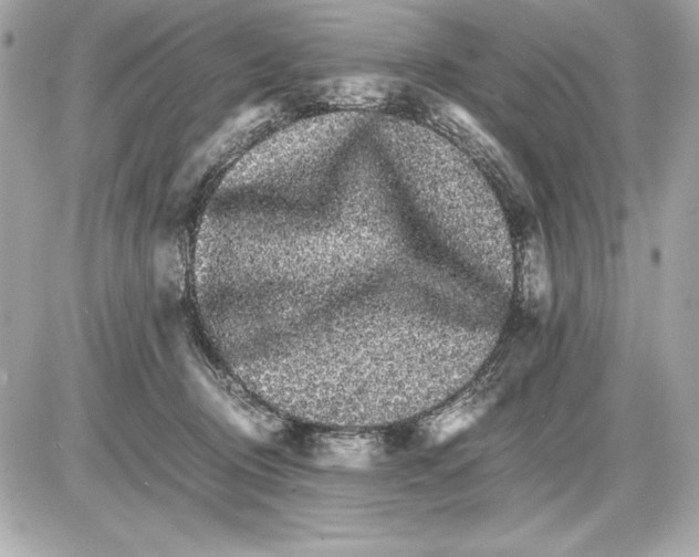 X0000085840370200704091729