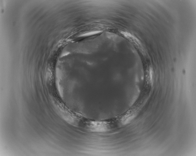 X0000085840371200704091729