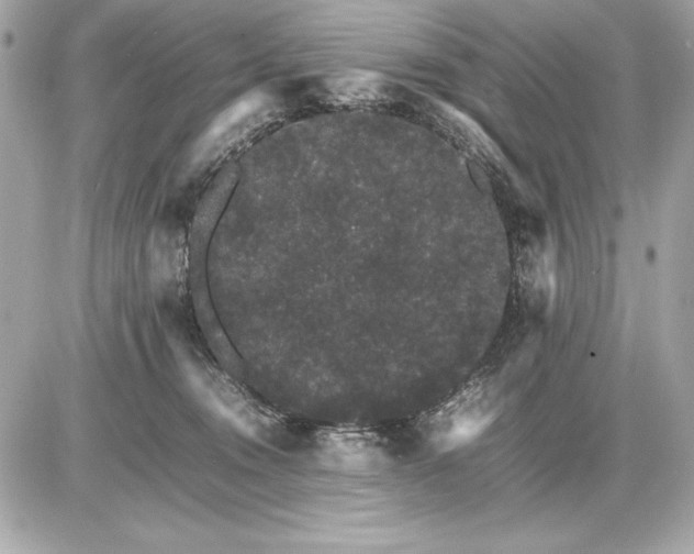 X0000085840372200704091729