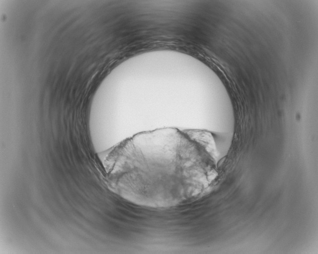 X0000085840373200704091729