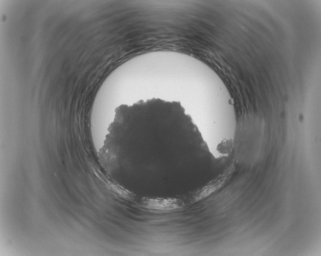 X0000085840375200704091729