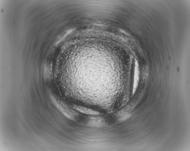 X0000085840376200704091729