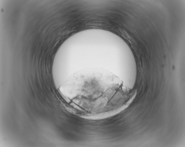 X0000085840377200704091729