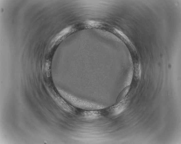 X0000085840378200704091729