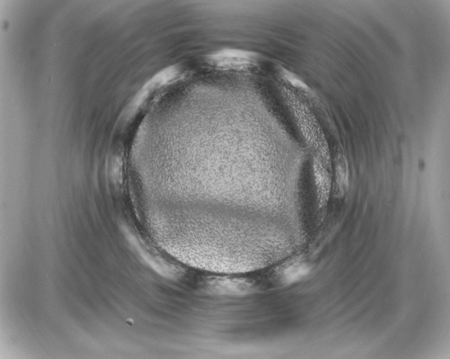 X0000085840379200704091730