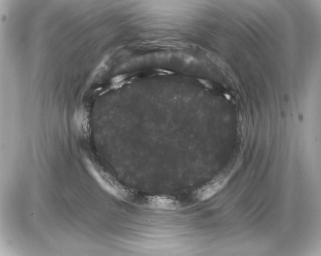 X0000085840380200704091730