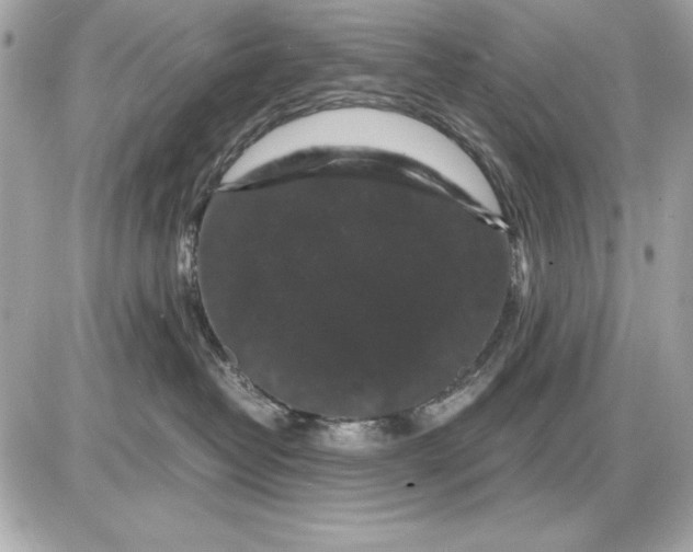 X0000085840382200704091730