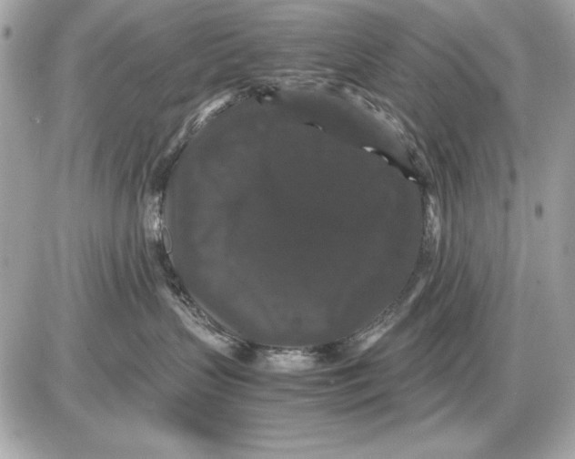 X0000085840383200704091730