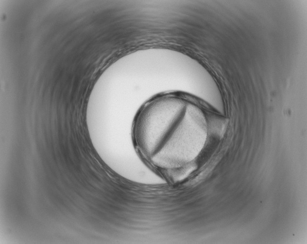 X0000085840384200704091730