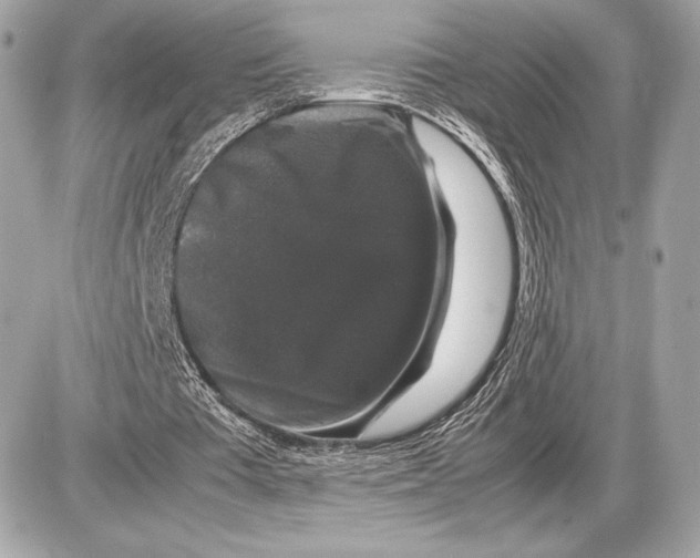 X0000085840385200704091729