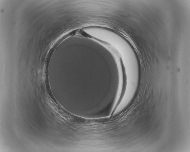 X0000085840387200704091729