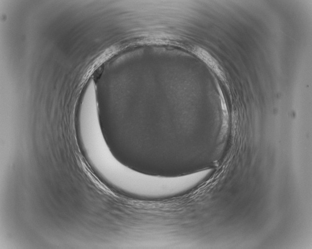 X0000085840389200704091729