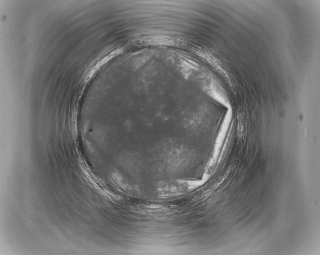 X0000085840390200704091729